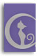 clair de lune - jewelery sertificate